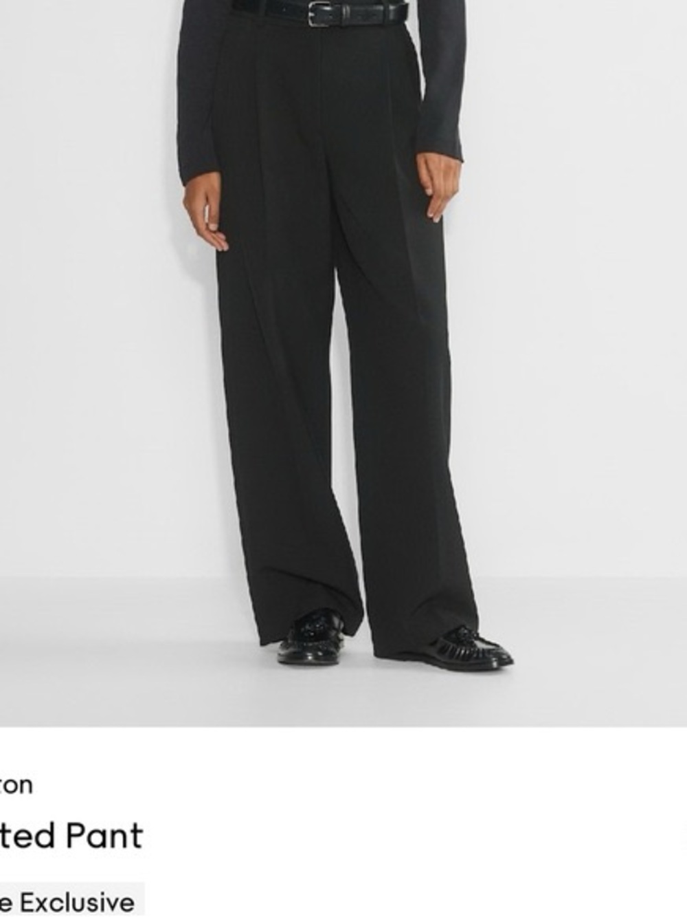 Aritzia Babaton High-waisted pleated pants in size 2